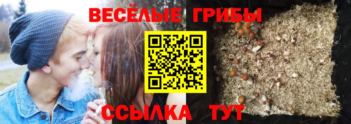 Галлюциногенные грибы прущие грибы  как найти закладки  Тейково  Вход с VPN 